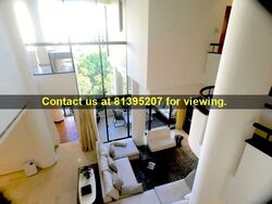 The Colonnade (D10), Condominium #342312201